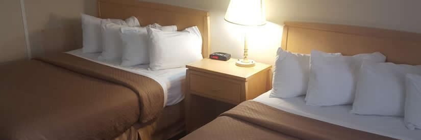 quality_inn_and_suites_nfc-room-825x275